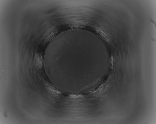 X0000093580915200710151142