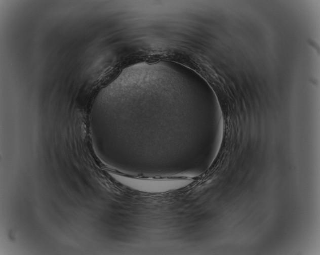 X0000093580916200710151142