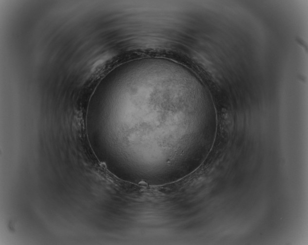 X0000093580918200710151142