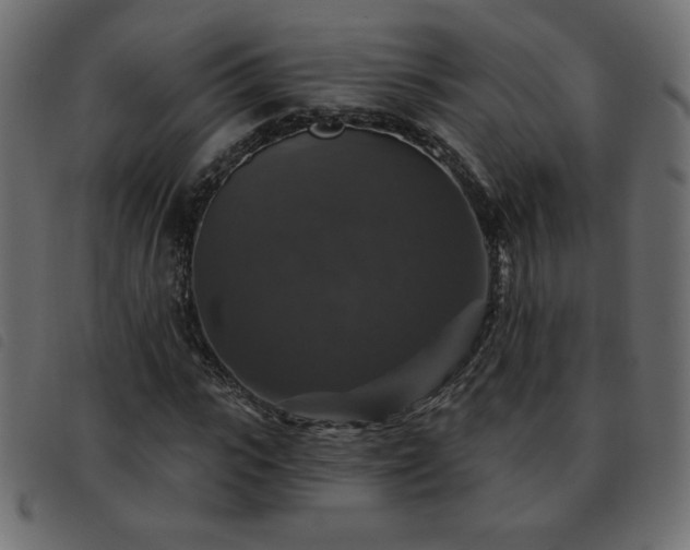 X0000093580919200710151142