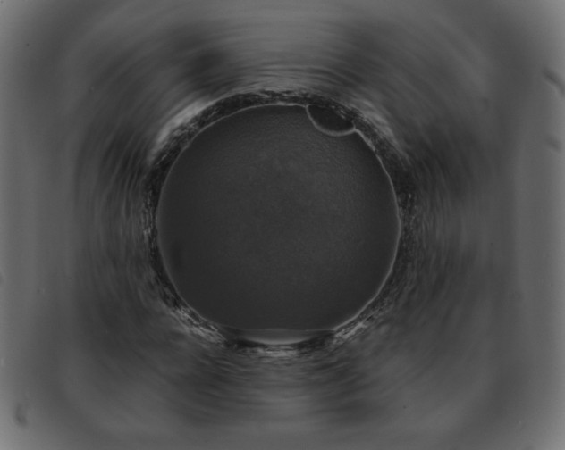 X0000093580920200710151142