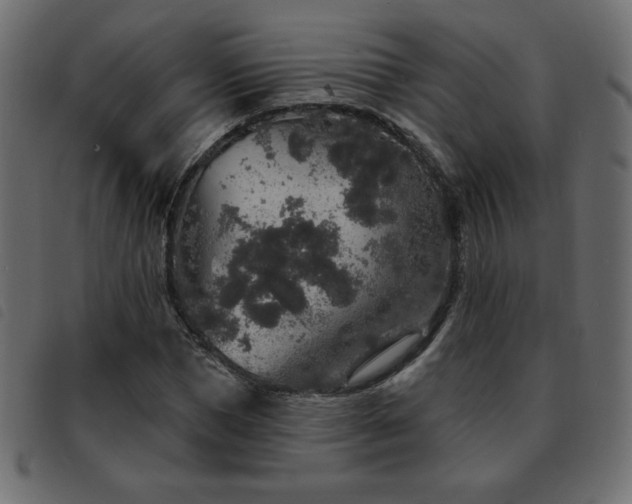 X0000093580921200710151142