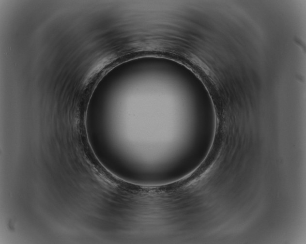 X0000093580922200710151142
