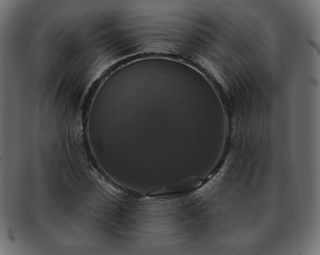 X0000093580923200710151142