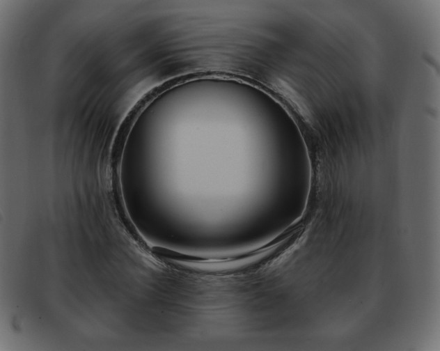 X0000093580924200710151142