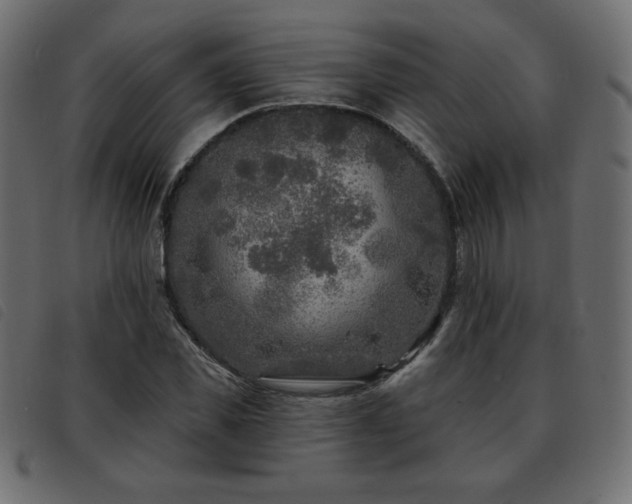 X0000093580925200710151142