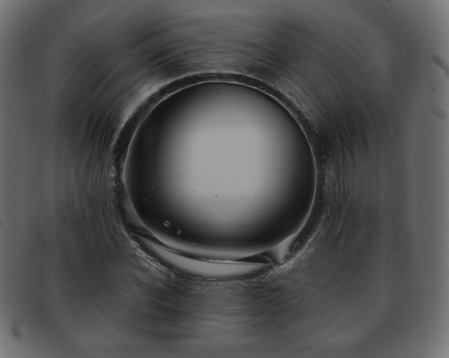 X0000093580926200710151142