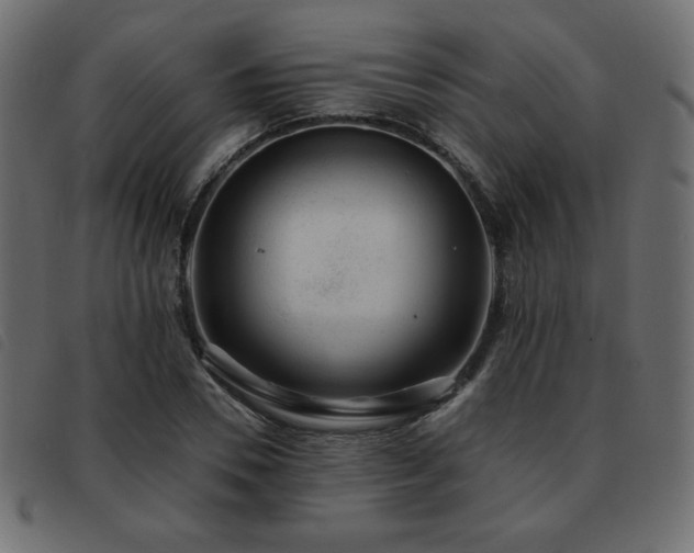 X0000093580930200710151142