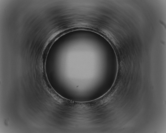 X0000093580931200710151142