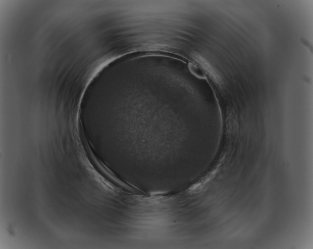 X0000093580932200710151142