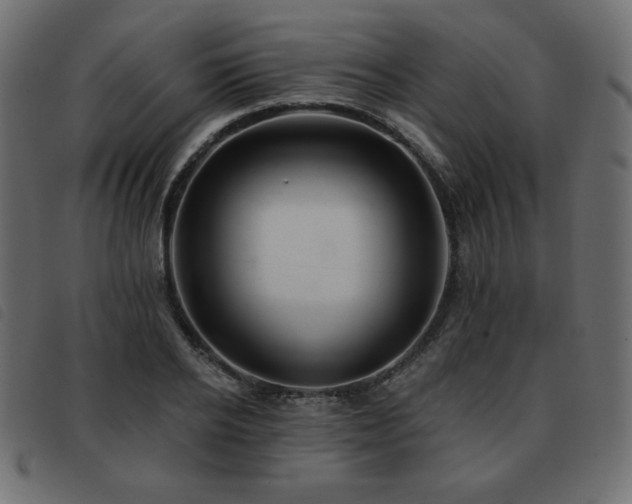 X0000093580934200710151142
