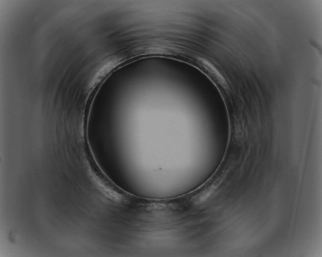 X0000093580938200710151142