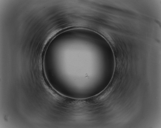 X0000093580939200710151142
