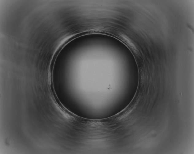 X0000093580940200710151142