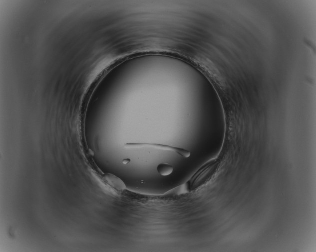 X0000093580942200710151142