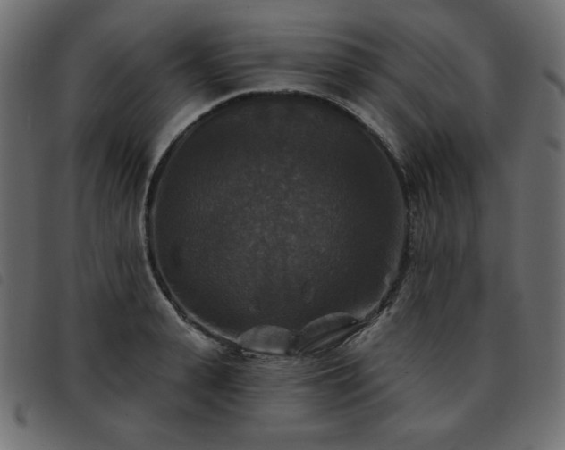 X0000093580943200710151142
