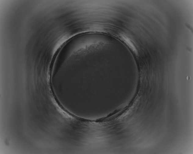 X0000093580944200710151142