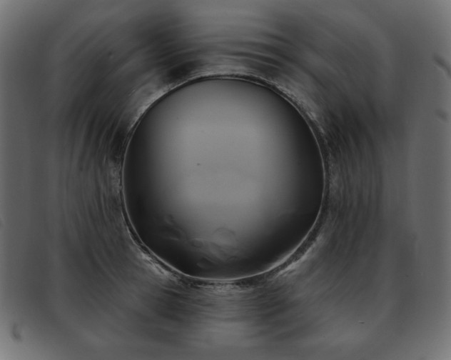 X0000093580945200710151142