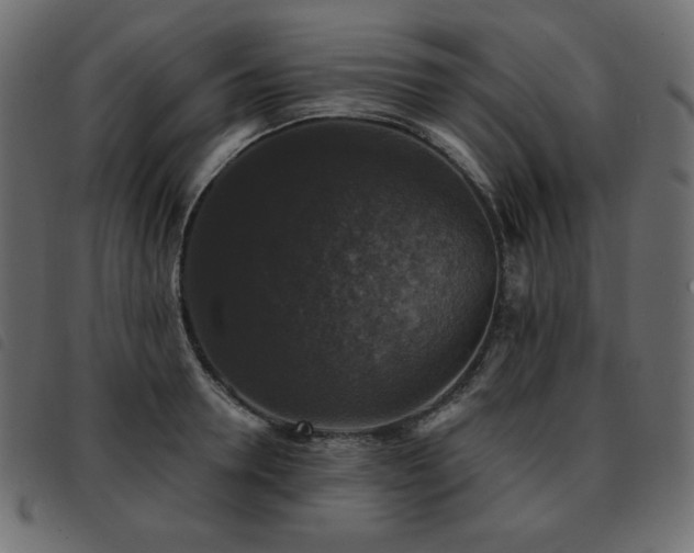 X0000093580946200710151142