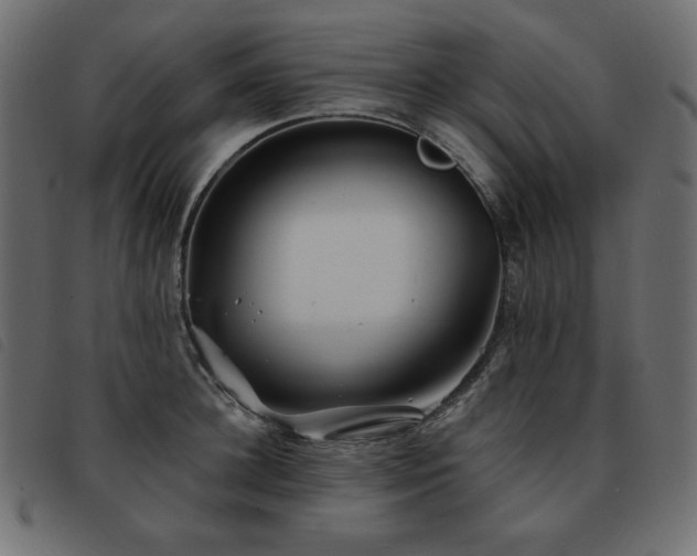 X0000093580948200710151142