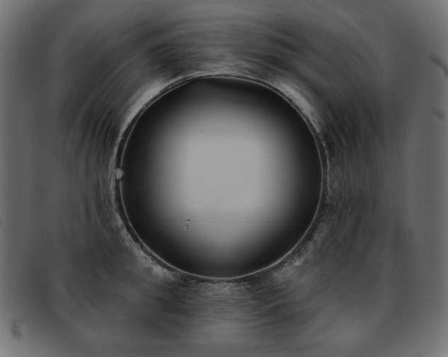 X0000093580949200710151142