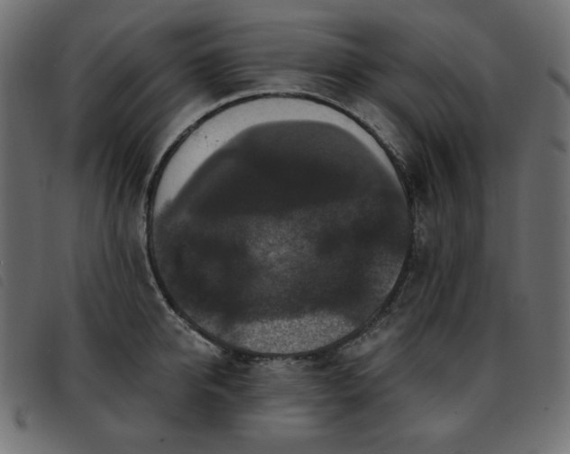 X0000093580950200710151142