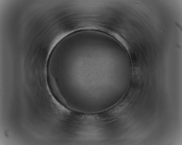 X0000093580951200710151142