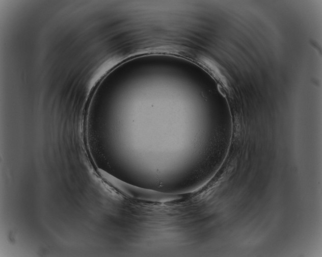 X0000093580952200710151142