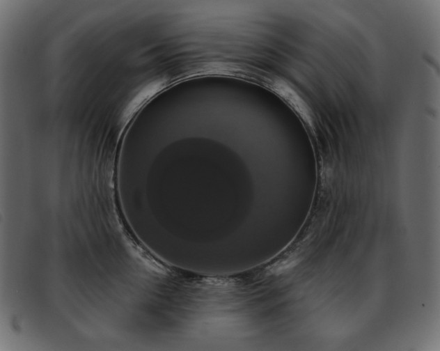 X0000093580954200710151142