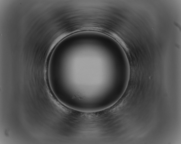 X0000093580955200710151142
