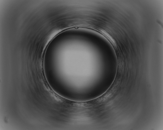 X0000093580956200710151142