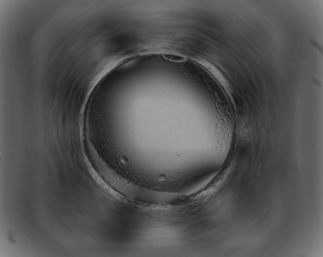 X0000093580957200710151142
