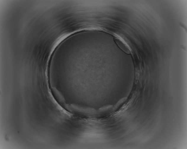 X0000093580959200710151142
