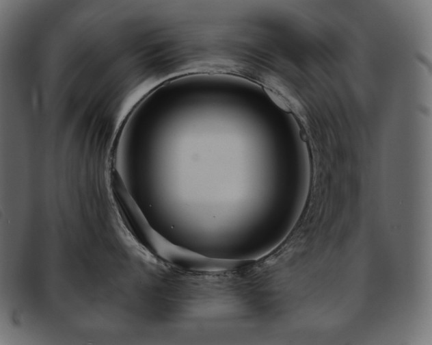 X0000093580960200710151142