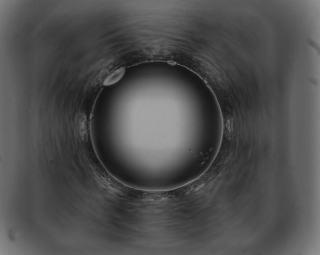 X0000093580963200710151142
