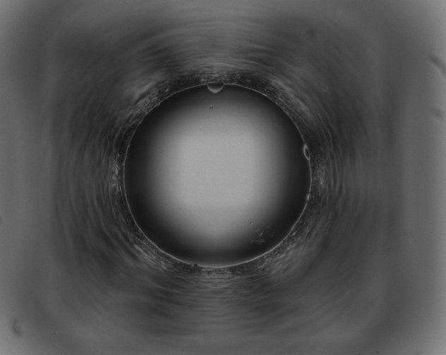 X0000093580964200710151142