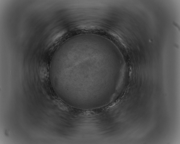 X0000093580966200710151142