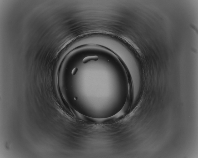 X0000093580969200710151142