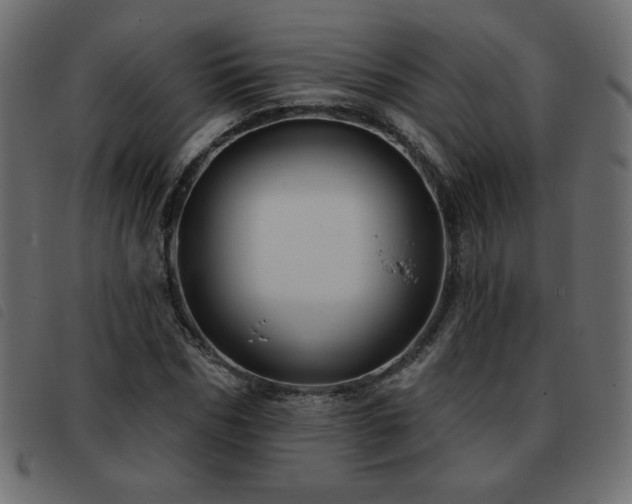 X0000093580970200710151142