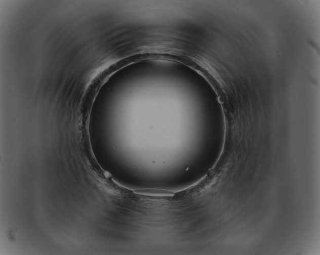 X0000093580971200710151142