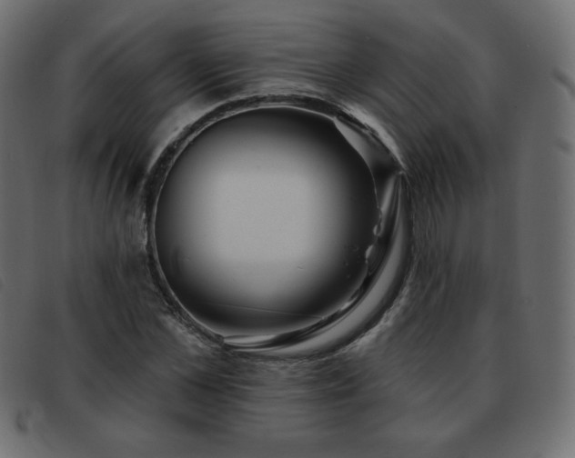 X0000093580973200710151142