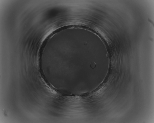 X0000093580975200710151142
