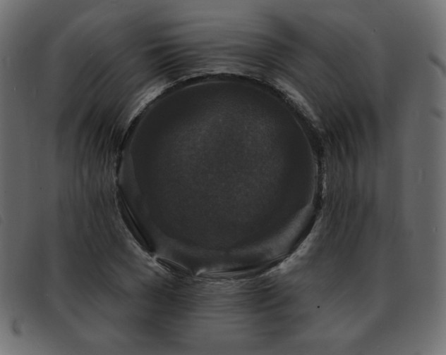 X0000093580977200710151142