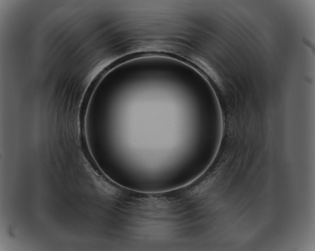 X0000093580980200710151142