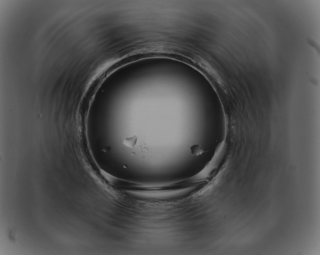 X0000093580981200710151142