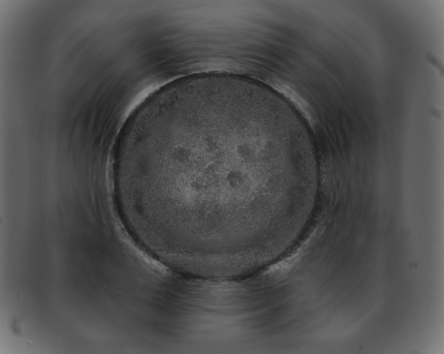 X0000093580983200710151142