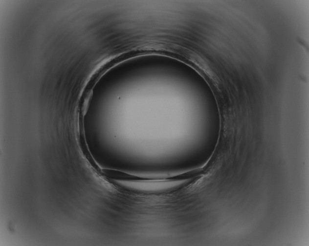 X0000093580984200710151142
