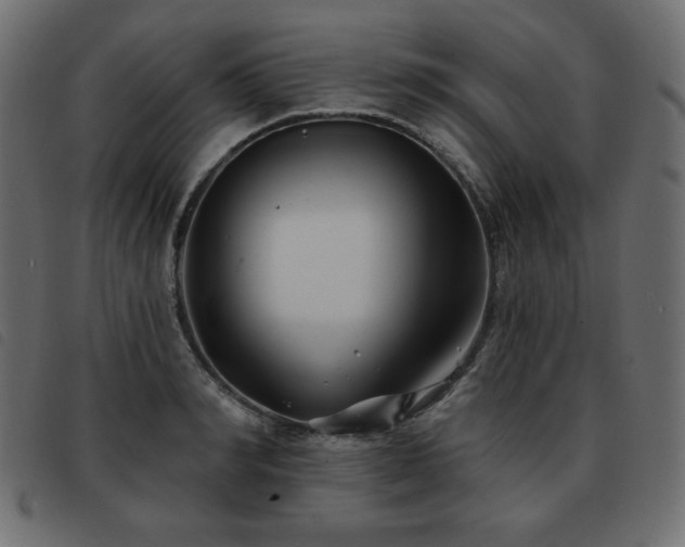 X0000093580990200710151142
