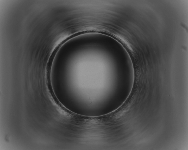 X0000093580991200710151141