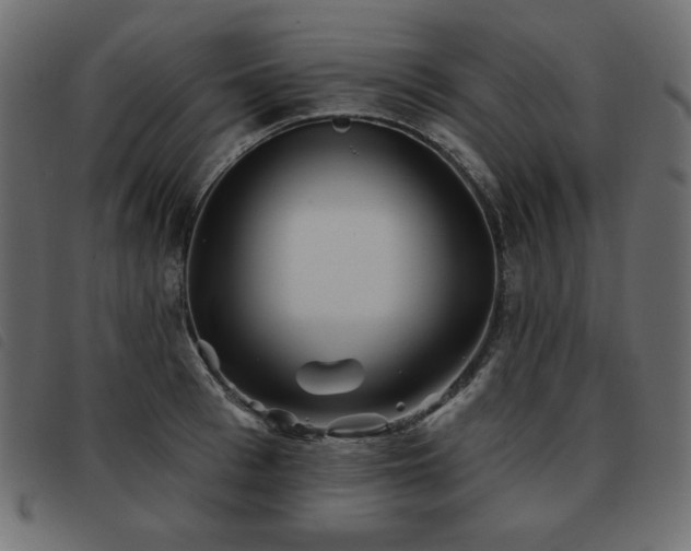 X0000093580993200710151141